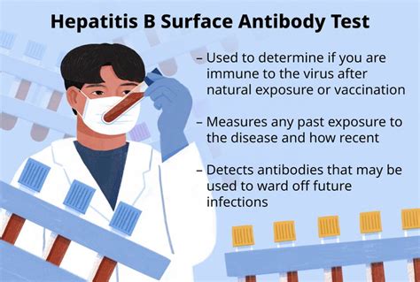 Hepatitis B Surface Antibody (HBsAb) Test Uses and More.